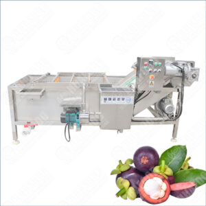 mangosteen washing and drying machine