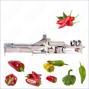 chili washing drying line
