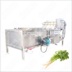 coriander washing machine