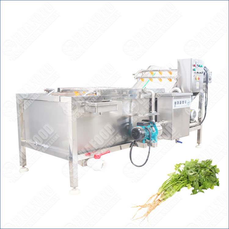 Commercial Coriander Washing Machine for Fresh Vegetable Cleaning