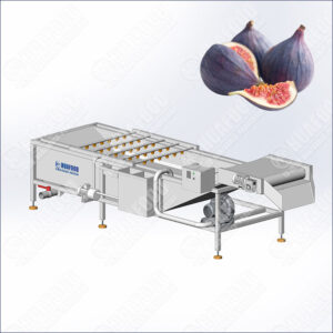 fig washing machine