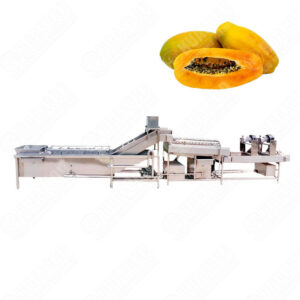 papaya washing machine