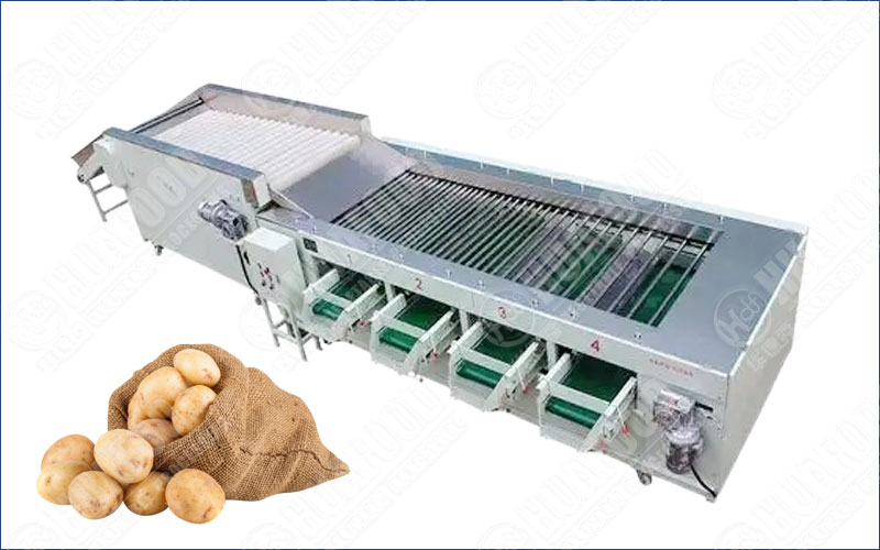 potato grading machine