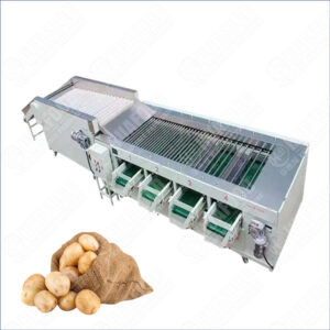 Potato grading machine