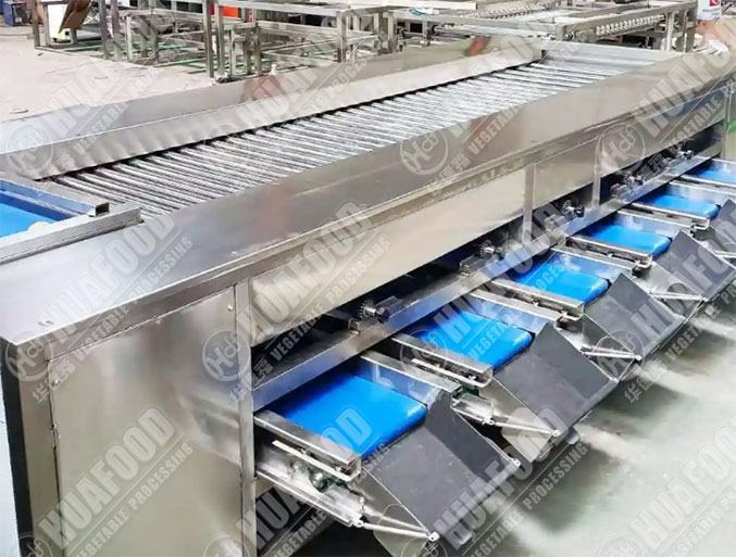 potato sorting machine
