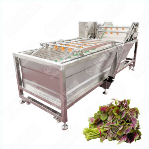 amaranth washing machine