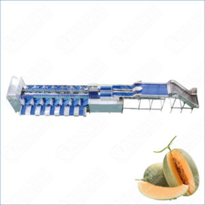 hami melon grading machine