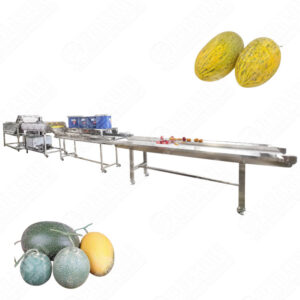 hami melon washing and drying machine