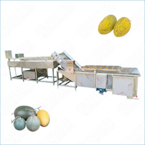 hami melon washing machine