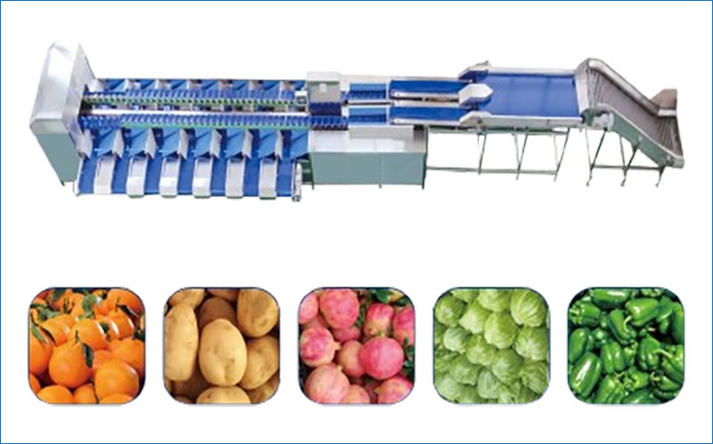 harmi melon weight grading machine