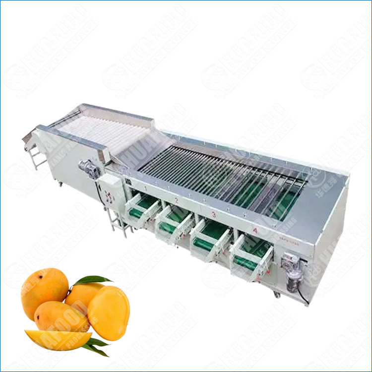 Mango Sorting and Grading Machine for Uniform Fruit Packaging