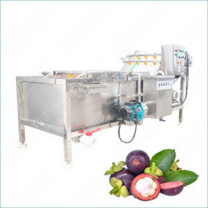 mangosteen washing machine