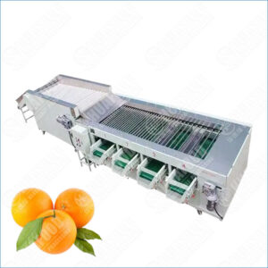 orange grading machine