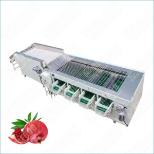 pomegranate sorting grading machine