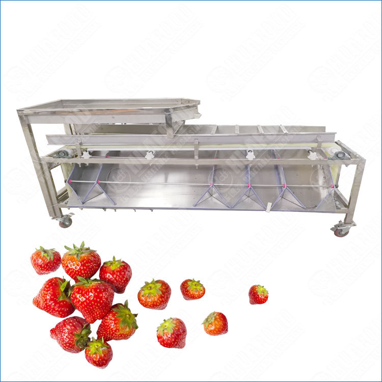 Track Type Strawberry Grading Machine With High Accuracy Size Sorting
