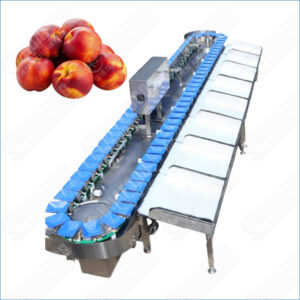 Nectarine Fruit Weight Sorting Machine