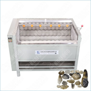 clam washing machine