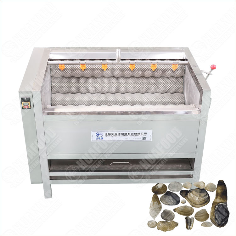 Stainless Steel Clam Washing Machine with Brush and Spray Technology