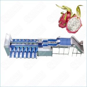 dragon fruits sorting machine