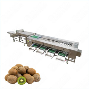 kiwi fruit sorting machine