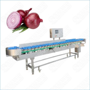 onion grading machine