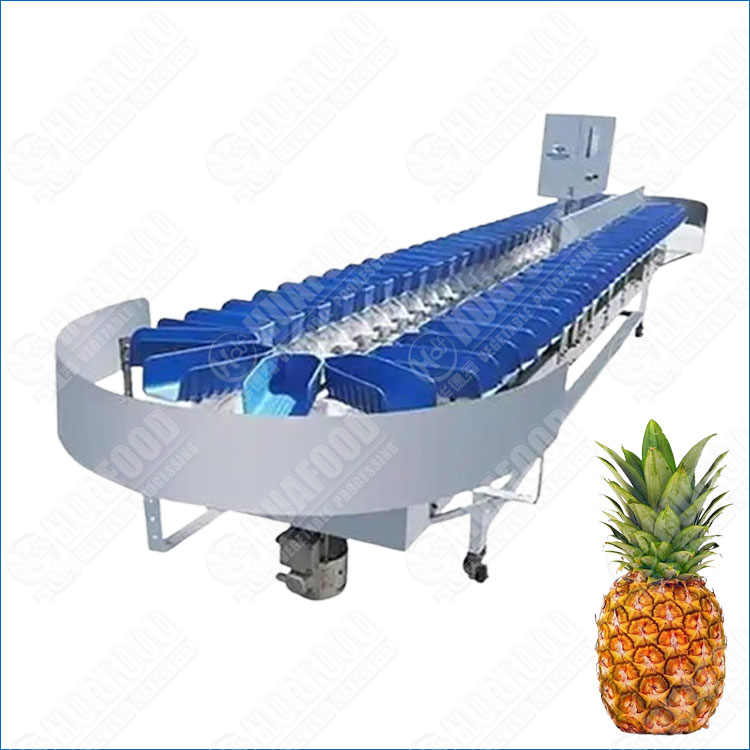 Automatic Pineapple Fruit Weight Sorting Machine Reduces Labor Cost