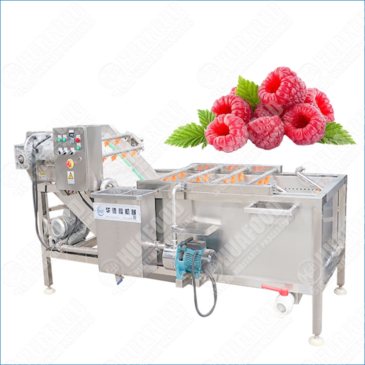 Gentle Raspberry Bubble Washing Machine for Delicate Berries