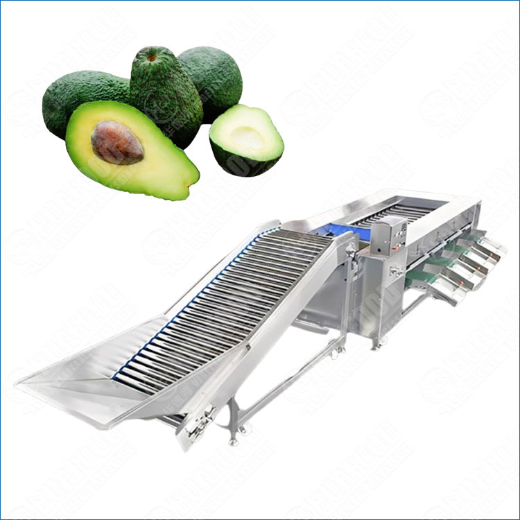 High Accuracy Avocado Sorting Machine for Sale for Export Fruit
