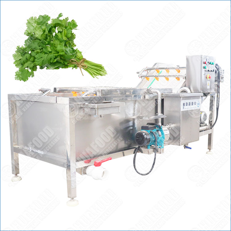 High-Efficiency Cilantro Washing Machine for Restaurants & Factories