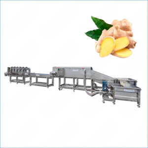 ginger cleaning machine