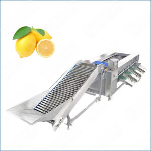 lemon grading machine