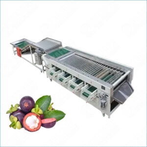 mangosteen grading machine