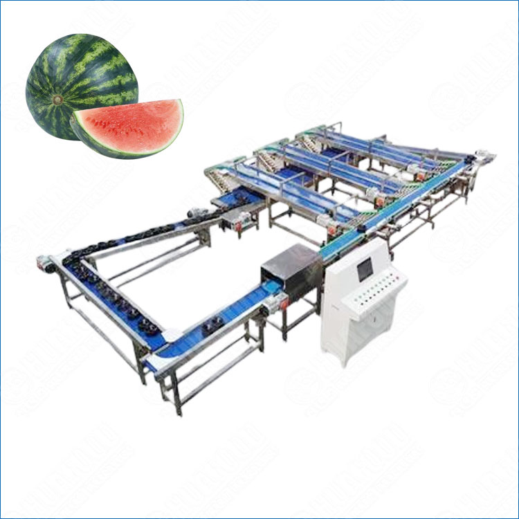 High Efficiency Watermelon Fruits Weight Grading Machine No Damage For Farm