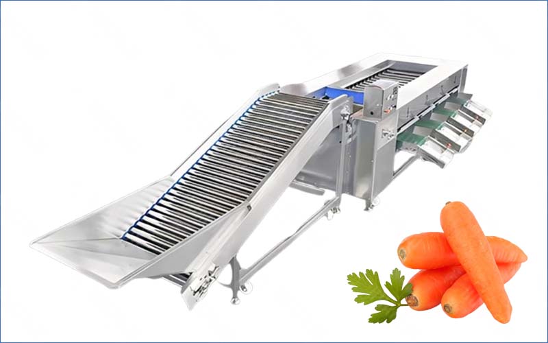 Industrial Carrot Grading Machine With High Precision For Sale