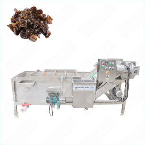 fungus washing machine