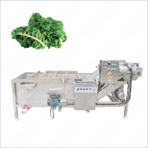 kale washing machine