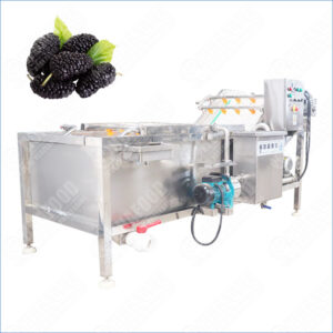 mulberry washing machine