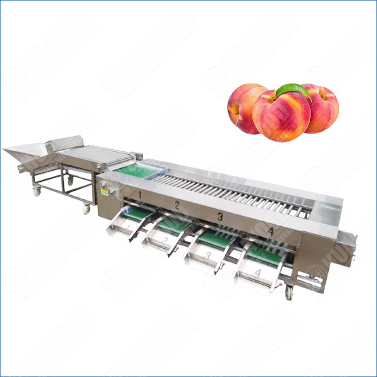 High Precision Peach Fruits Size Grading Machine With SS Roller Bar
