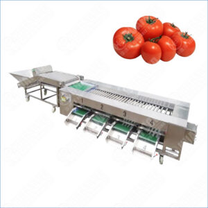 tomato sorting and grading machine