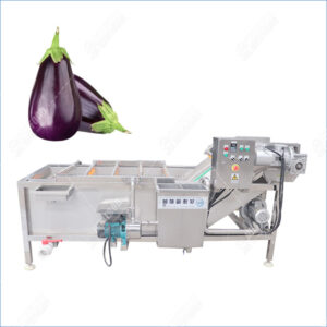 eggplant washing machine