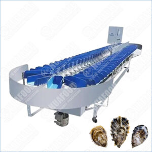 oyster grading machine