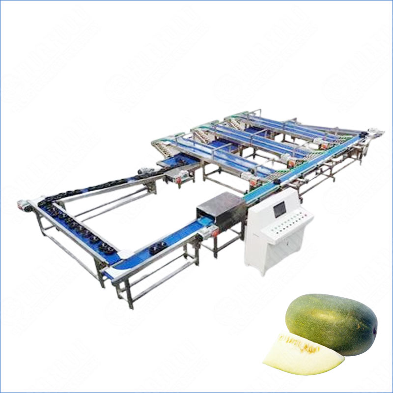Automatic Winter Melon Vegetable Weight Grading Machine for Sale
