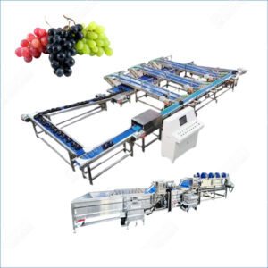grape cleaning line