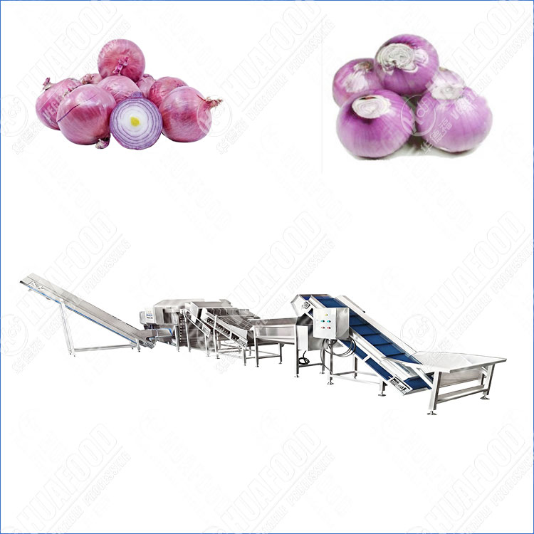 High Efficiency Peeling Onion Root Cutting Machine With Large Output Design