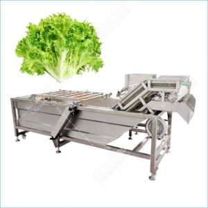 Endive Vegetable Bubble Washing Machine