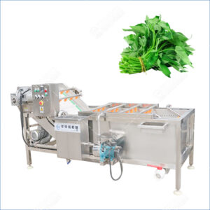 water spinach washing machine