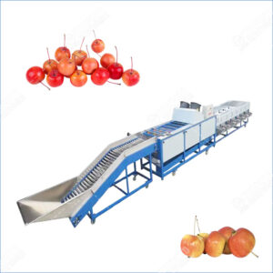 crabapple washing and grading line