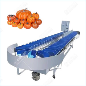 pumpkin grading machine pumpkin grading machine