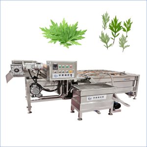 mugwort washing machine