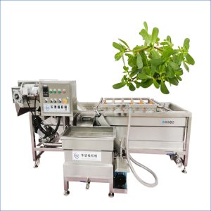 purslane washing machine